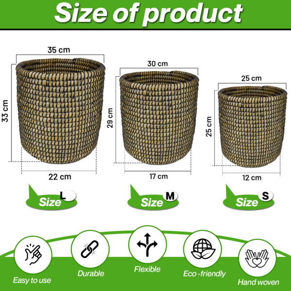 biodegradable flower pots