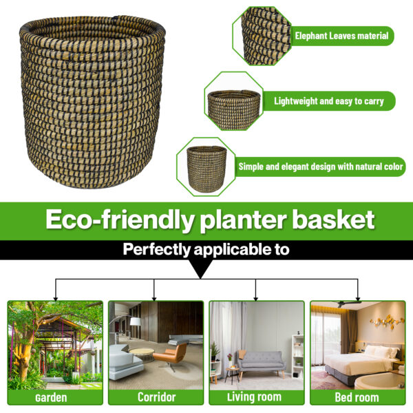 biodegradable flower pots