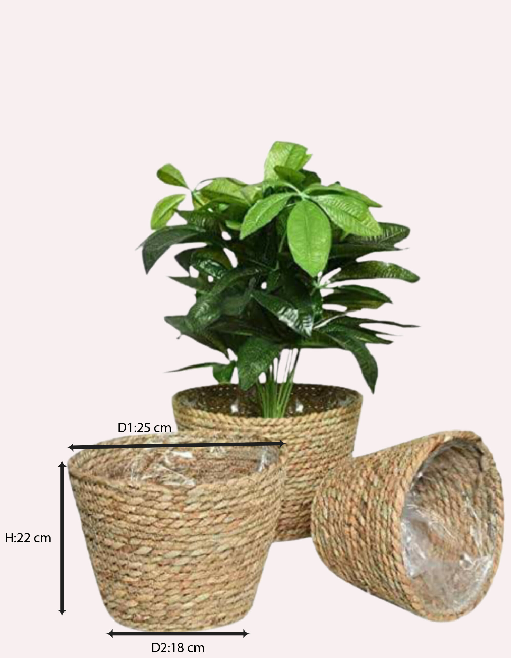 Seagrass Planter Baskets