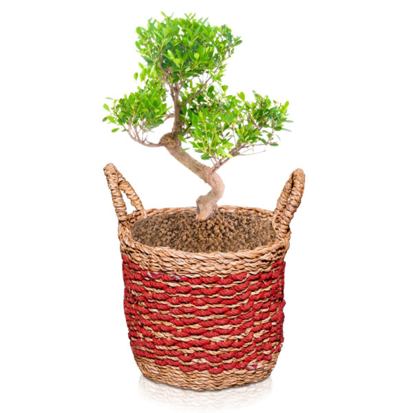 Handmade Planter Basket